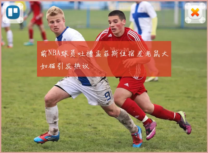 前NBA球员吐槽孟菲斯住宿差老鼠大如猫引发热议