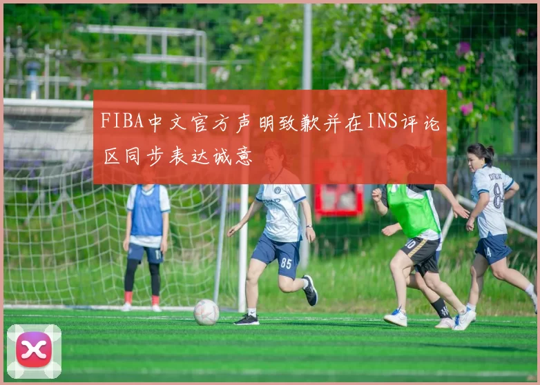 FIBA中文官方声明致歉并在INS评论区同步表达诚意